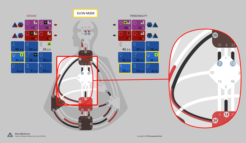 Channel 20-34 in Elon Musk's BodyGraph
